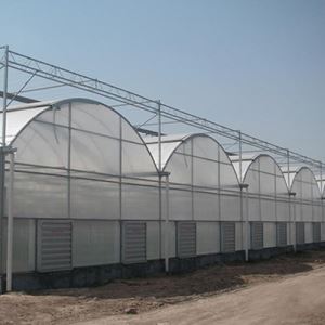 连栋薄膜国产精品放荡VIDEOS麻豆街