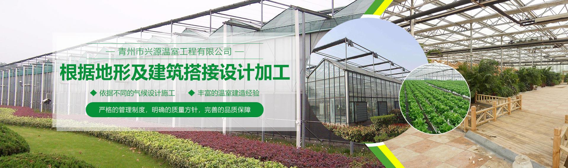 公司麻豆成人入口